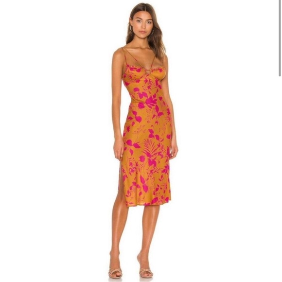 NWOT Dahlia Midi Dress in Rose Garden Botanical size 4 by Sun Becomes Her - Picture 1 of 5